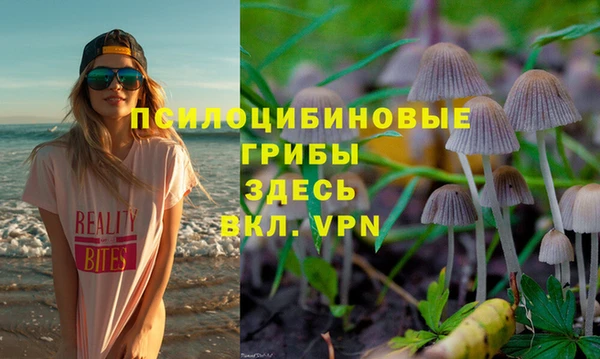 молекула духа Армянск