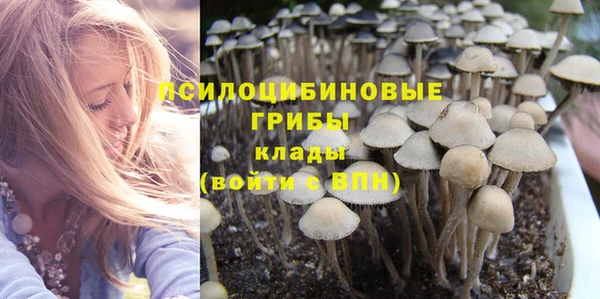 винт Арсеньев