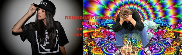 молекула духа Армянск