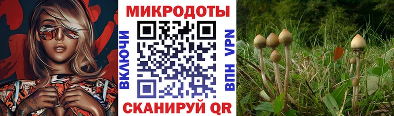Псилоцибиновые грибы прущие грибы  купить наркотики сайты  Углегорск 